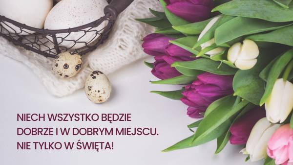 Najlepsze życzenia świąteczne od Reapolis